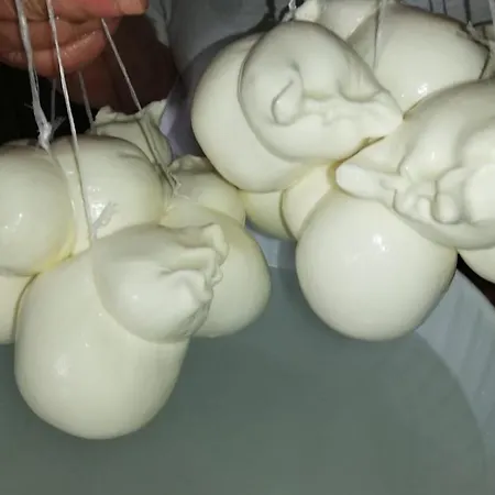 Nel Parco Nazionale Della Majella