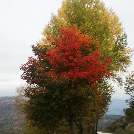 Nel Parco Nazionale Della Majella * Montenerodomo