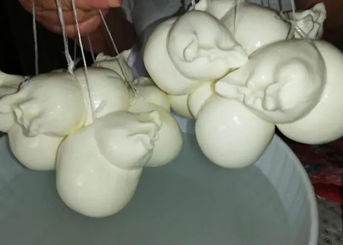 Nel Parco Nazionale Della Majella