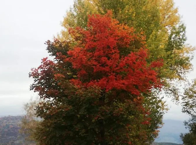 Nel Parco Nazionale Della Majella * Montenerodomo